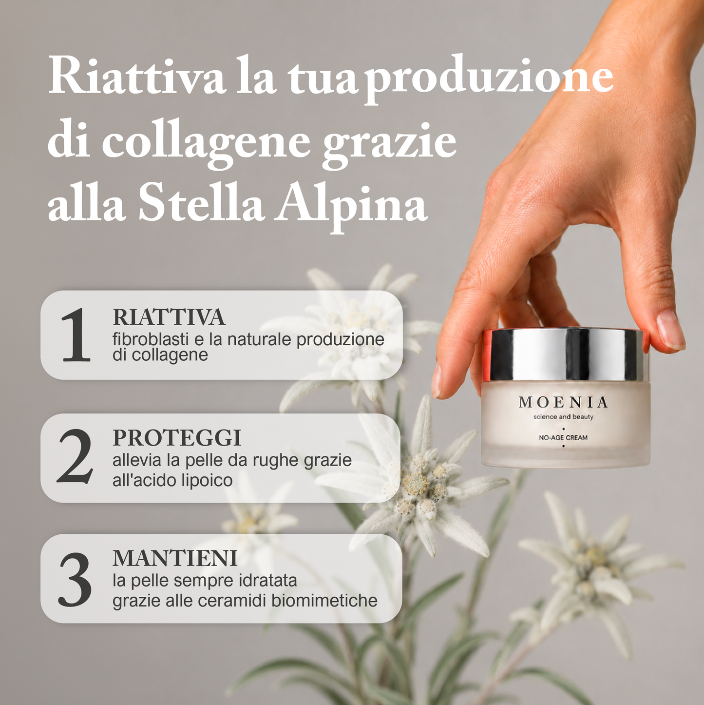 No-Age Cream | Riattiva il collagene con la Stella Alpina